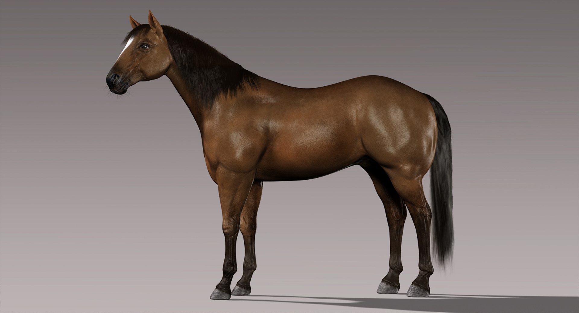 3d horses rigged fur https://p.turbosquid.com/ts-thumb/LS/wnoBuX/ycNXSosH/a/jpg/1428537399/1920x1080/fit_q87/8bdb6c591682f3909665f3c6102eafc8a743c302/a.jpg