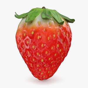 Strawberry 02