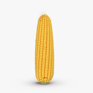 Corn Cob Yellow