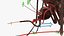 3D Mosquito model