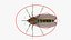3D Mosquito model