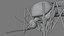 3D Mosquito model