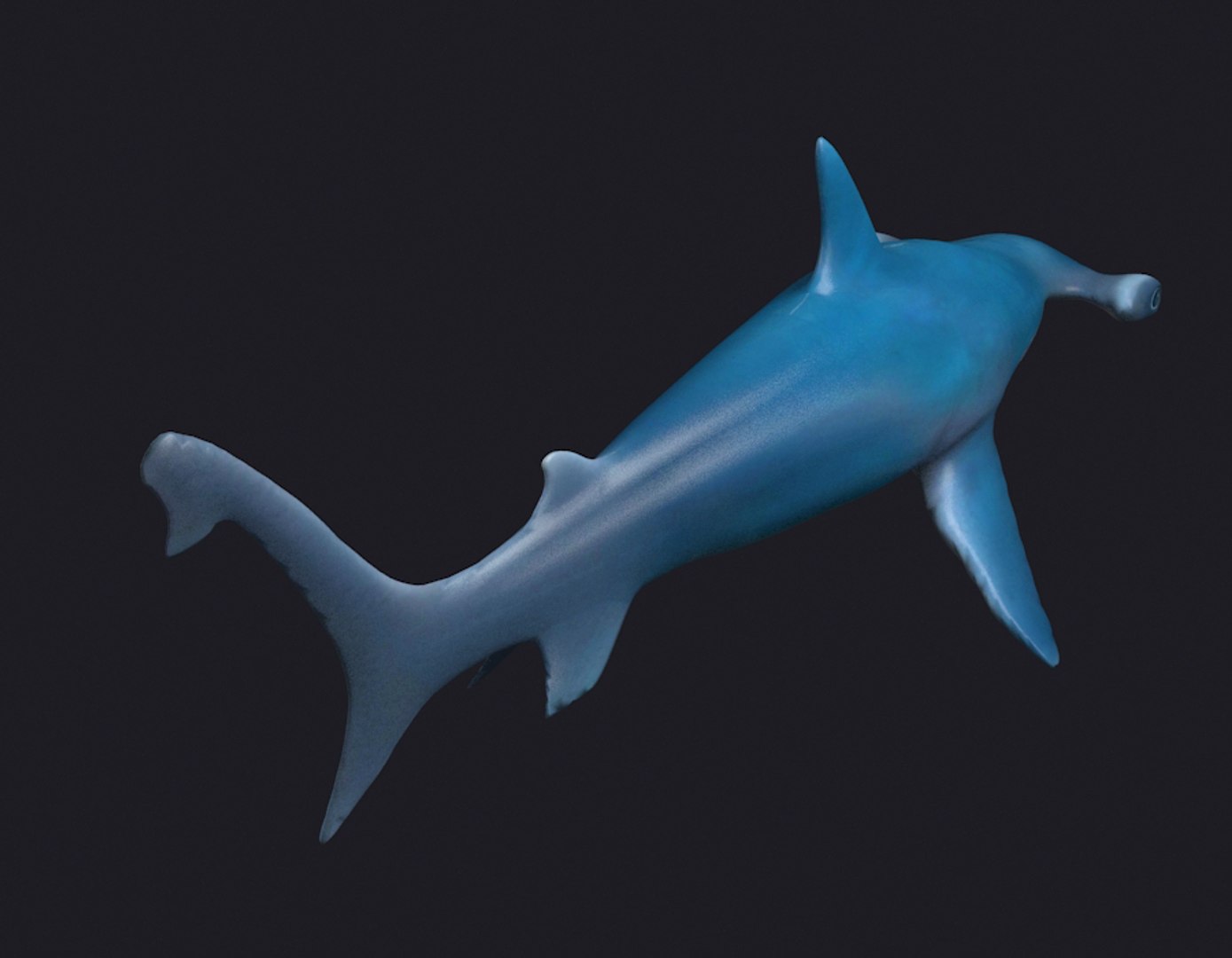 3D man-eating sharks sea killers https://p.turbosquid.com/ts-thumb/LT/M3FzJ5/FDhB8lh5/002/jpg/1588771829/1920x1080/fit_q87/a0cb152893212f19a618b1a1db9f684e056da85f/002.jpg
