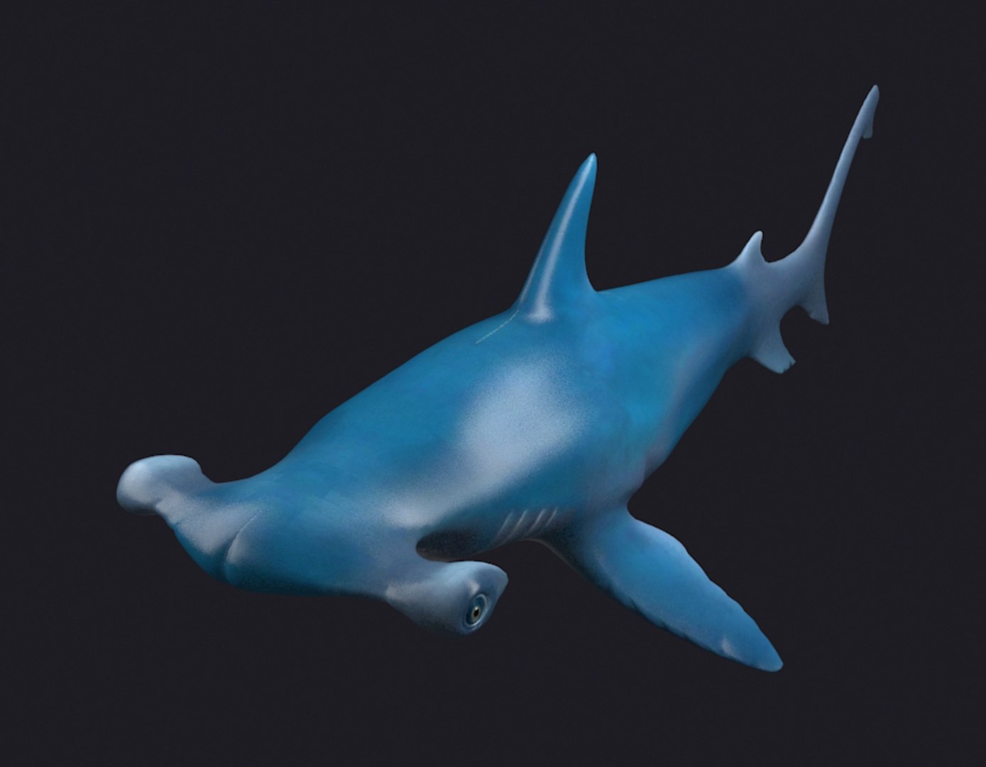 3D man-eating sharks sea killers https://p.turbosquid.com/ts-thumb/LT/M3FzJ5/pxcSwgC3/003/jpg/1588771829/1920x1080/fit_q87/8da0af768858dd564d5e40641068dd597ff902c3/003.jpg