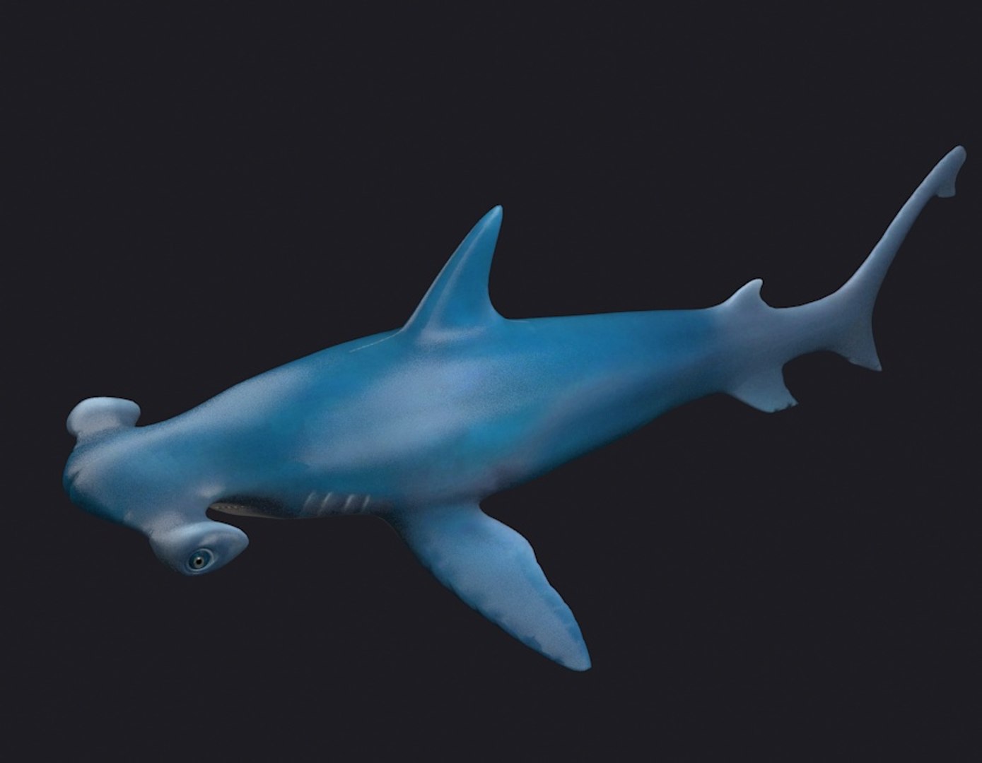 3D man-eating sharks sea killers https://p.turbosquid.com/ts-thumb/LT/M3FzJ5/x4giFx44/005/jpg/1588771829/1920x1080/fit_q87/e8d294e7f0a731c52ec79f51c2931e0463f82ec2/005.jpg