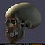human skull 3d model