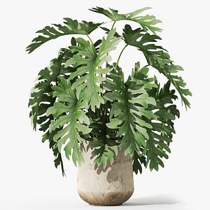 Plants collection 1077 3D model