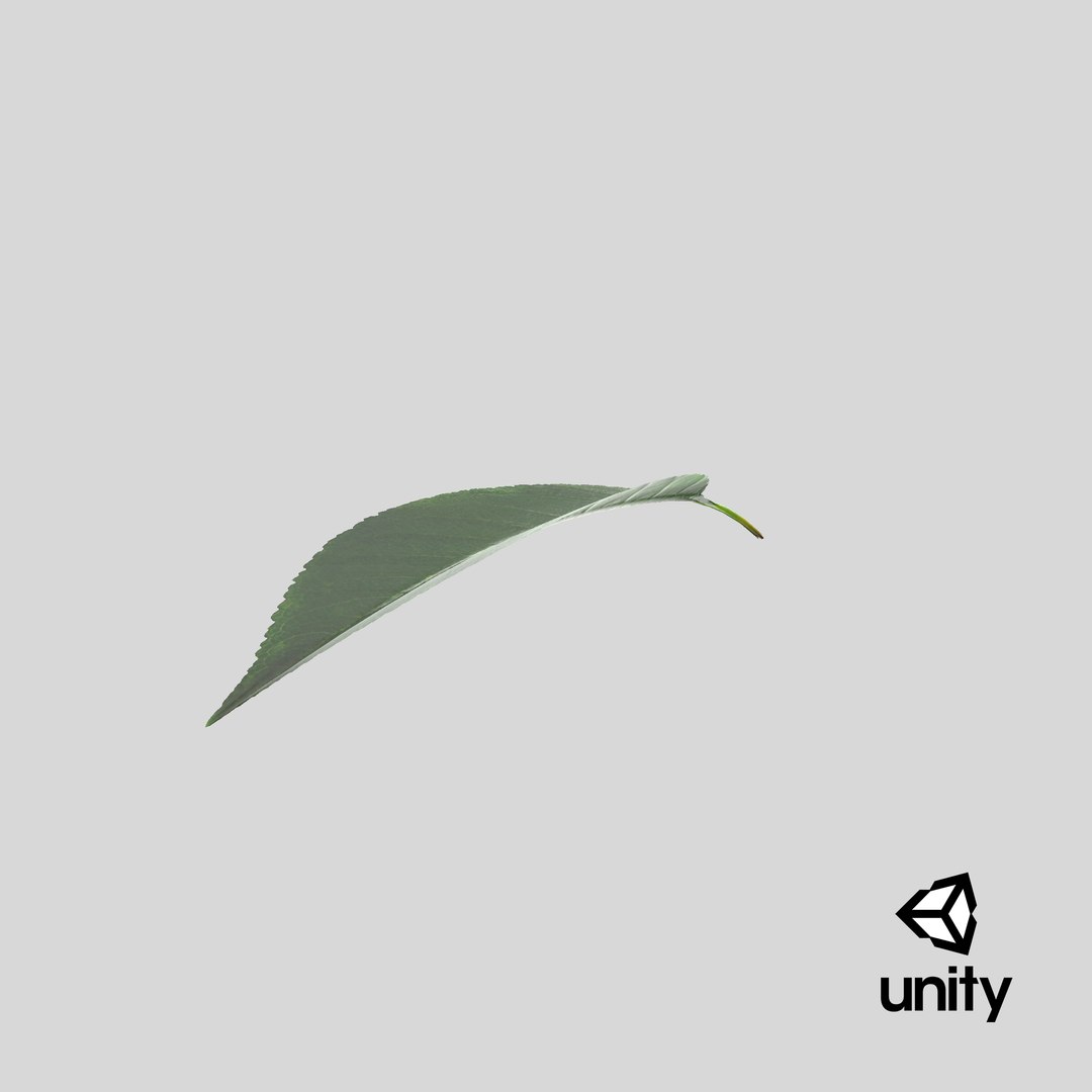 cherry leaf 3D model https://p.turbosquid.com/ts-thumb/LT/YTzwQG/YK/stemcell_unity_render/png/1651734992/1920x1080/fit_q87/e7845d969600fcccb1d299e27539c44787e883b1/stemcell_unity_render.jpg