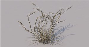 3D grass wild model