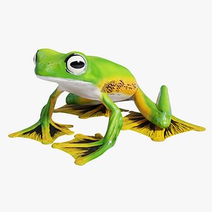 Wallaces Flying Frog