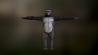 Gorilla game ready with pbr textures Low-poly