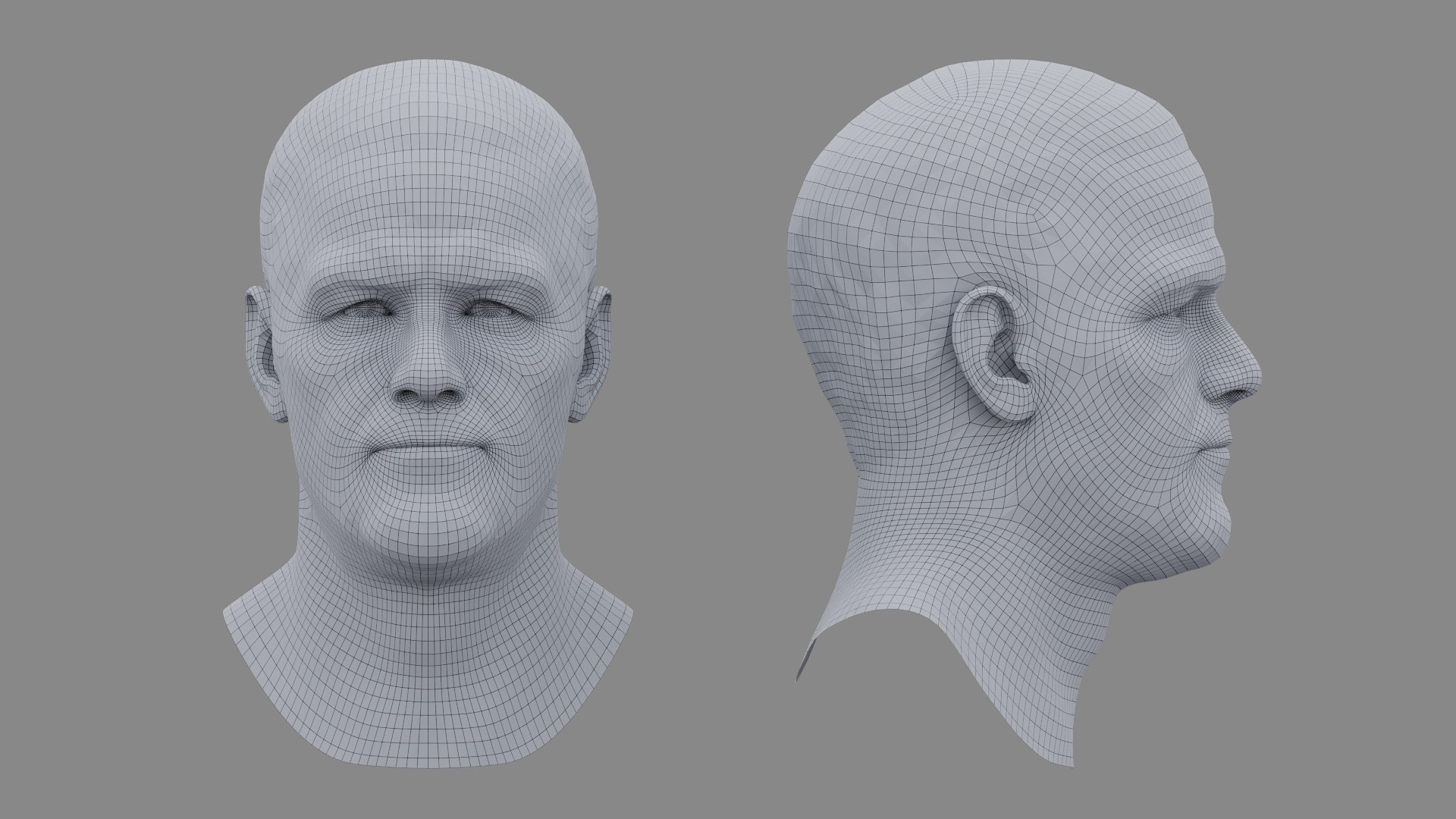 Favre Brett 3D model https://p.turbosquid.com/ts-thumb/LT/osOgZV/R4/favrebrett_collage_wire/jpg/1734473598/1920x1080/fit_q87/2edc8d1a3477651868b4e4096eceb80207f198cf/favrebrett_collage_wire.jpg