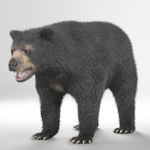 - realistic 3d model