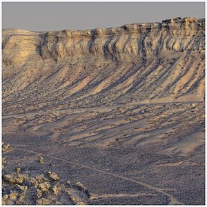 Desert landscape