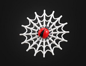 Spider Web
