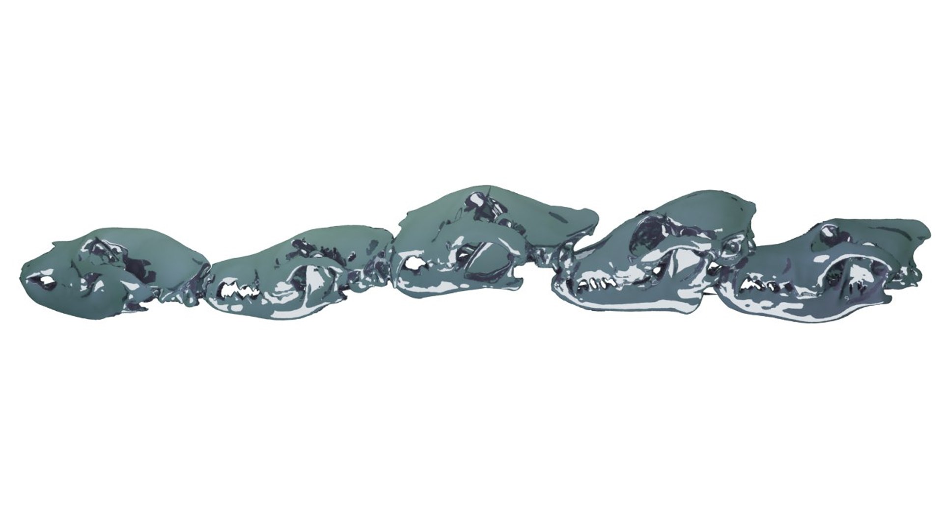 ring skulls cat 3d obj https://p.turbosquid.com/ts-thumb/LU/MDIdoW/wWSOiwqJ/pkthnun9cg/jpg/1463250158/1920x1080/fit_q87/75429e997ff9ba8c6272aa0abef0b595e2e89a27/pkthnun9cg.jpg