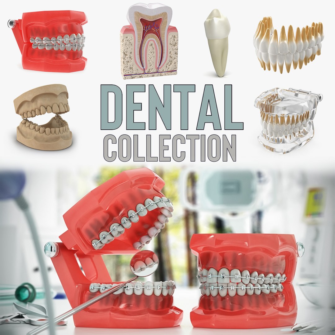 Dental Collection 2 3D model preview