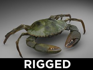 Crab rigged