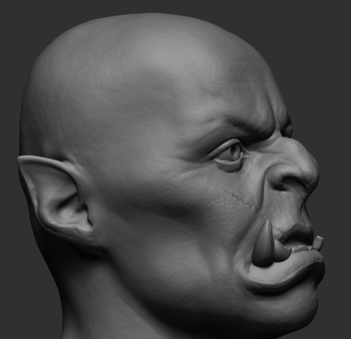 Creature head reference 3D model - TurboSquid 1282580