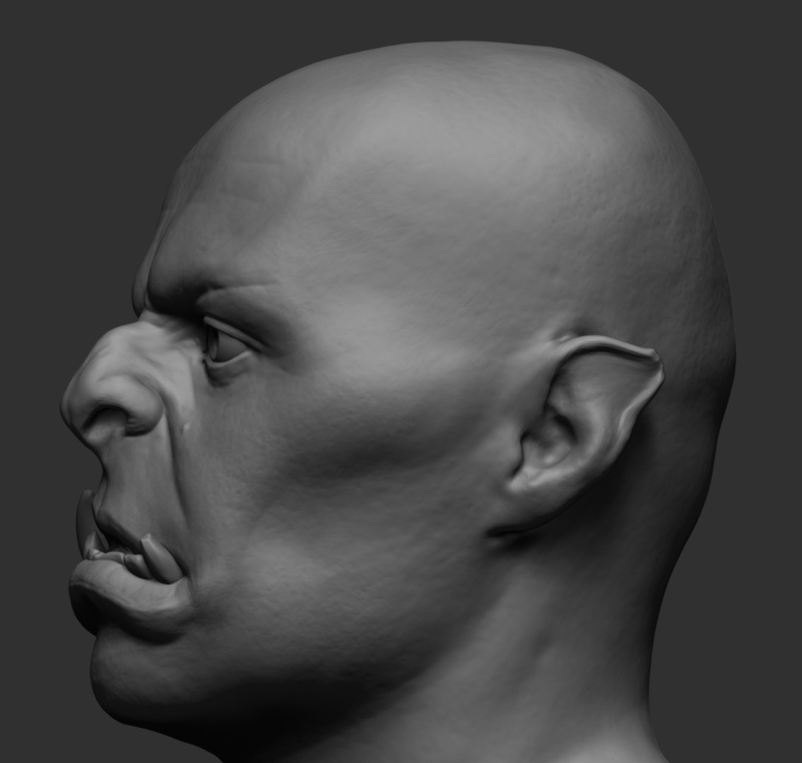 Creature head reference 3D model - TurboSquid 1282580
