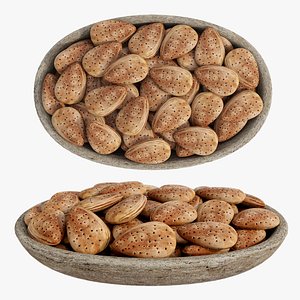 Almond in shell stone bowl 3D model