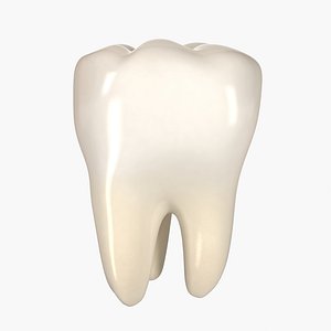 Teeth