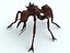 Ant Killer