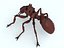 Ant Killer