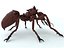 Ant Killer