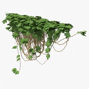 ivy pbr branches 3D