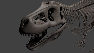 Espécimes de esqueleto de tiranossauro Sue Triceratops, tiranossauro rex,  tiranossauro, personagem fictício png