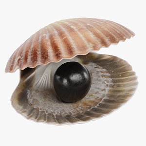 Clam with Black Pearl