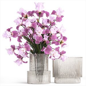 Solemn bouquet of purple Iris flowers in a glass vase 379
