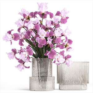 Solemn bouquet of purple Iris flowers in a glass vase 379