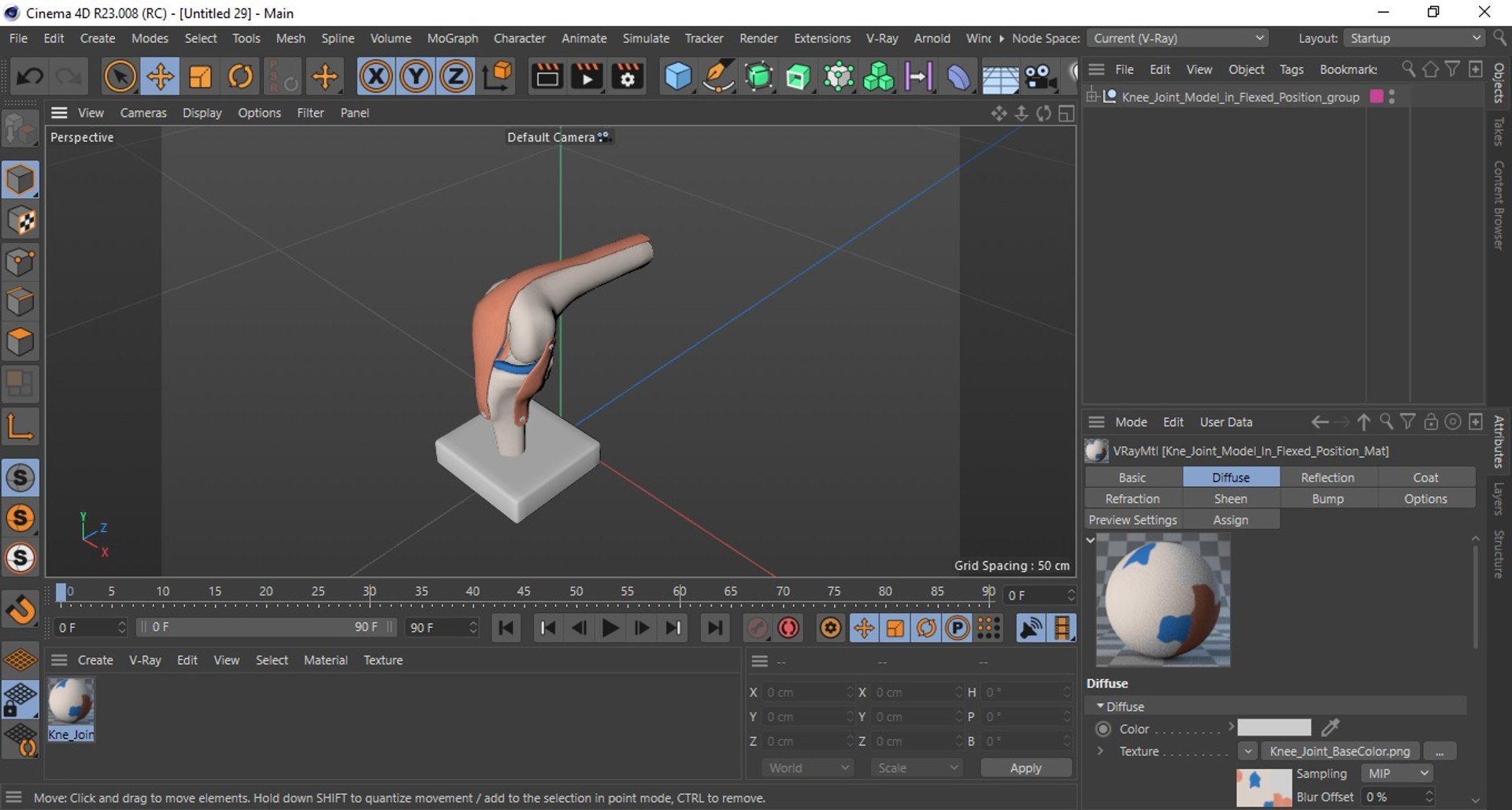 3D Knee Joint Model in Flexed Position https://p.turbosquid.com/ts-thumb/LV/6w3Wbi/u6/kneejointmodelinflexedpositionvray3dmodel023/jpg/1726018808/1920x1080/fit_q87/77ef2fd007ac53a6264e8e1297310195ee186ae4/kneejointmodelinflexedpositionvray3dmodel023.jpg