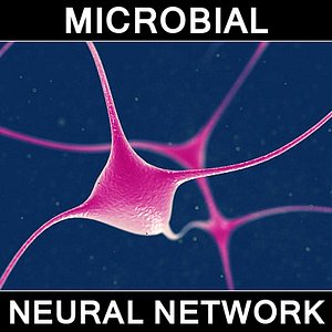 neural_network_1.max