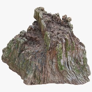 3D tree stump 06 model
