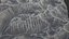 Alaskan Twin valley with granite spires