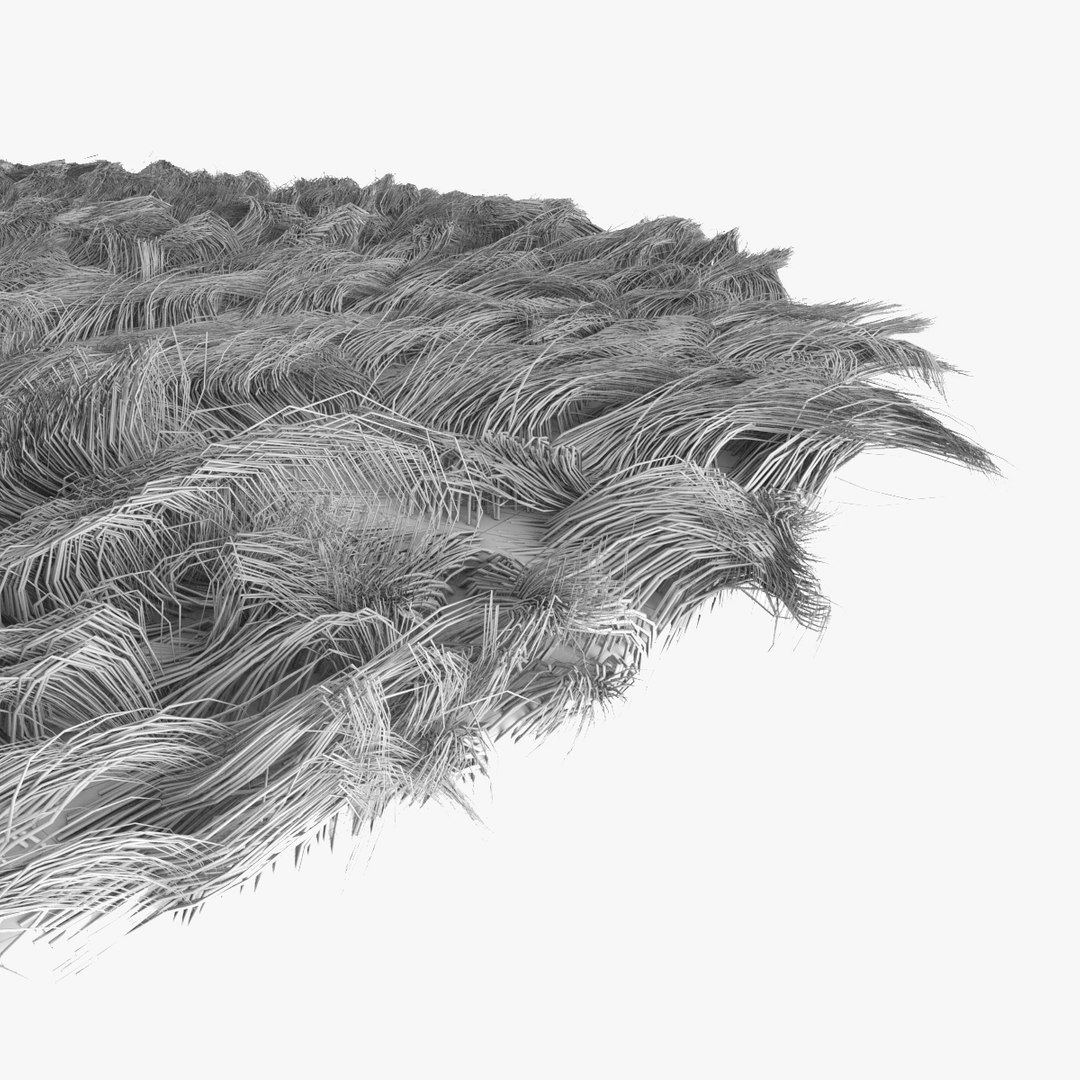 maya carpet fur https://p.turbosquid.com/ts-thumb/LV/NApmV0/8adHVnEW/carpet_render4/jpg/1431183674/1920x1080/fit_q87/6ffaaaeb0e9ad824574c5d80d7e46eb674cdd770/carpet_render4.jpg