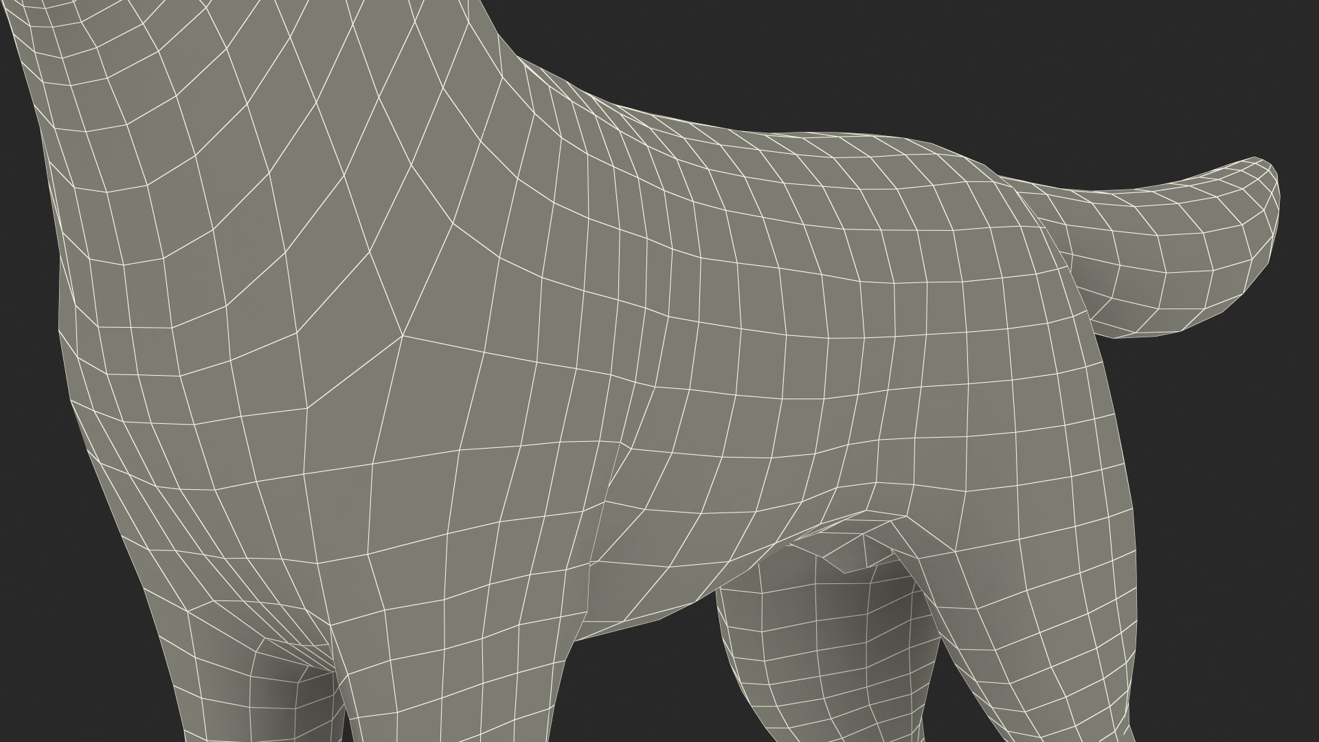 Siberian Husky Gray and White Fur Rigged 3D model https://p.turbosquid.com/ts-thumb/LV/UkoYdq/0k/siberianhuskygrayandwhitefurrigged3dmodel042/jpg/1635281948/1920x1080/fit_q87/bf4cc5464195ca625a0ad4bdfdede57e171c784d/siberianhuskygrayandwhitefurrigged3dmodel042.jpg