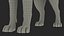 Siberian Husky Gray and White Fur Rigged