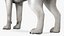 Siberian Husky Gray and White Fur Rigged