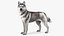 Siberian Husky Gray and White Fur Rigged