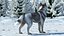 Siberian Husky Gray and White Fur Rigged