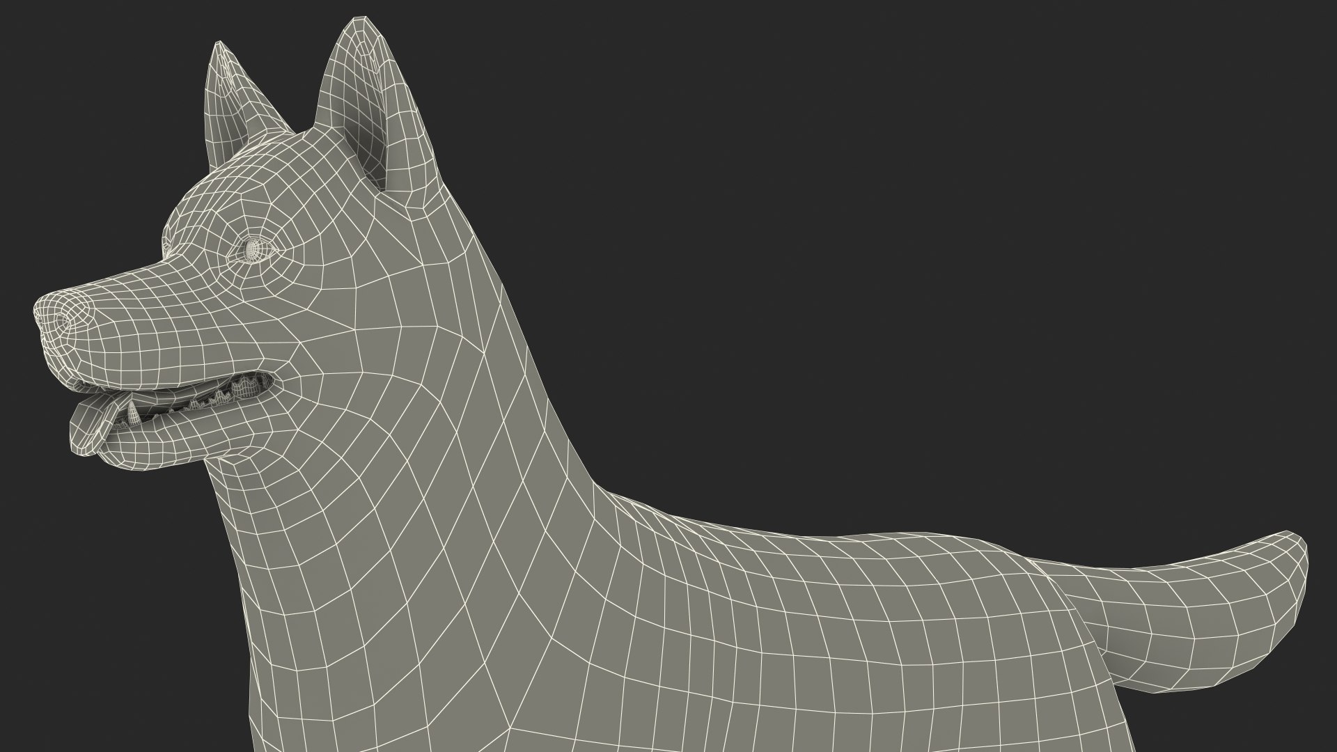 Siberian Husky Gray and White Fur Rigged 3D model https://p.turbosquid.com/ts-thumb/LV/UkoYdq/oj/siberianhuskygrayandwhitefurrigged3dmodel036/jpg/1635281935/1920x1080/fit_q87/0b0d7f2172e9a81de28936ed811d26079dc34760/siberianhuskygrayandwhitefurrigged3dmodel036.jpg