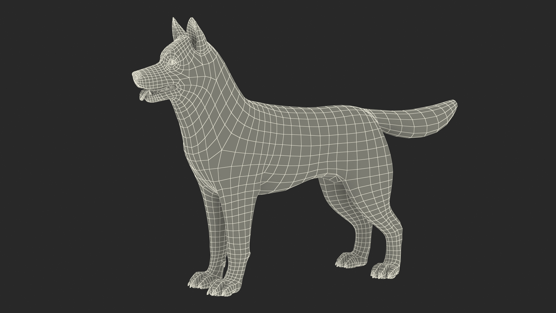 Siberian Husky Gray and White Fur Rigged 3D model https://p.turbosquid.com/ts-thumb/LV/UkoYdq/tE/siberian_husky_gray_and_white_fur_rigged_361/jpg/1635282097/1920x1080/turn_fit_q99/6e83f0b6d09f4ee26d65259cc1762f81c192f7f5/siberian_husky_gray_and_white_fur_rigged_361-1.jpg