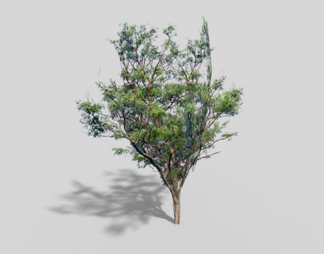 Games Tree 3ds