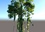 Animated Jungle Tree Pack 20
