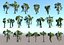 Animated Jungle Tree Pack 20