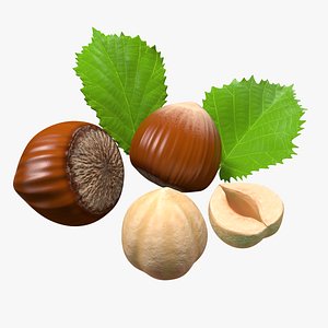 3D model hazelnut leaves seed nuts